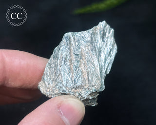 Clinochlore Specimen #4