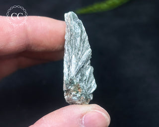 Clinochlore Specimen #4