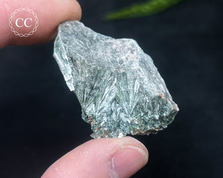 Clinochlore Specimen #4