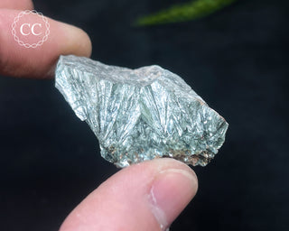 Clinochlore Specimen #4