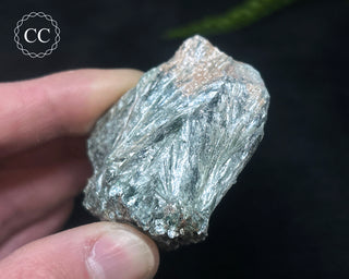 Clinochlore Specimen #1