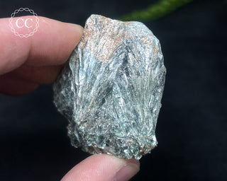 Clinochlore Specimen #1