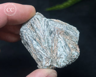 Clinochlore Specimen #1