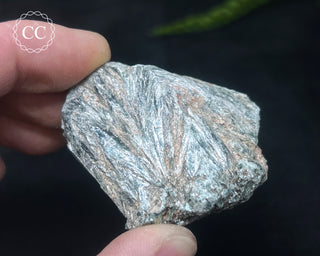 Clinochlore Specimen #1