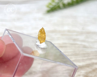 Clinohumite #2