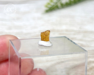 Clinohumite #1