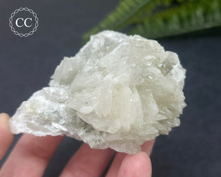 Colemanite Specimen #1