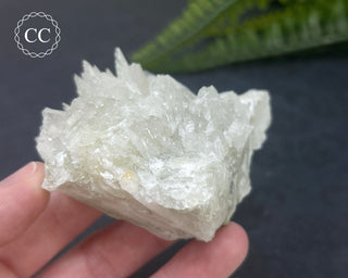 Colemanite Specimen #1