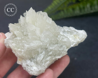 Colemanite Specimen #1