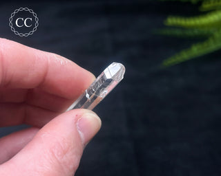 Colombian Quartz #10