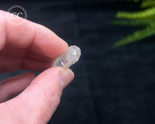 Colombian Quartz #10