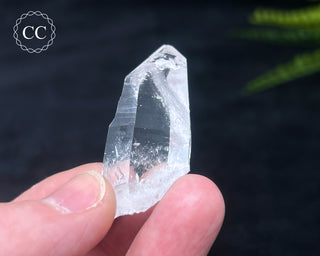 Colombian Quartz #12