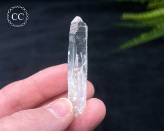 Colombian Quartz #7