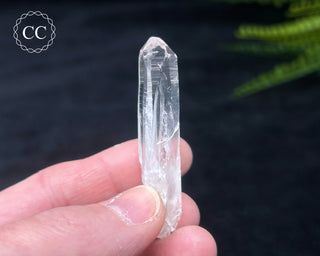 Colombian Quartz #7