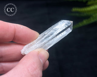 Colombian Quartz #7