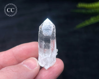 Colombian Quartz #8