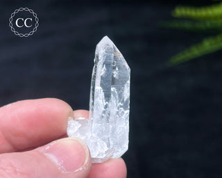 Colombian Quartz #8