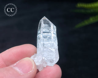 Colombian Quartz #8