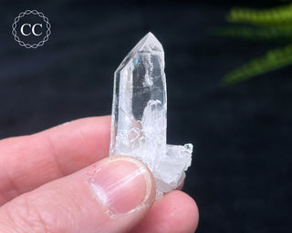 Colombian Quartz #8