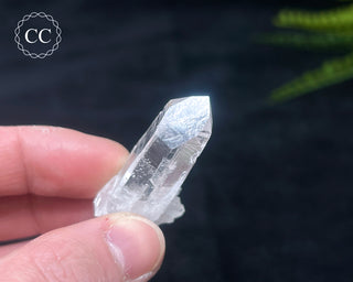 Colombian Quartz #8