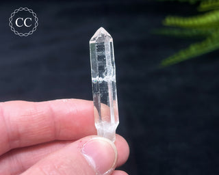 Colombian Quartz #10
