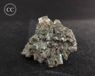 Columnar Calcite - Fujian #1