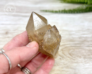 Congo Citrine #8