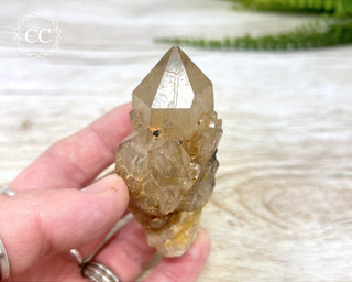 Congo Citrine #8