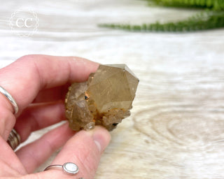 Congo Citrine #8