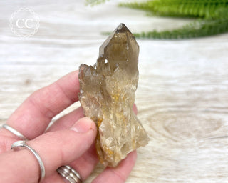 Congo Citrine #9