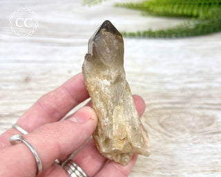 Congo Citrine #9