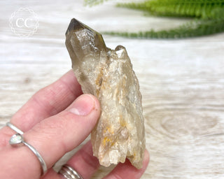 Congo Citrine #9