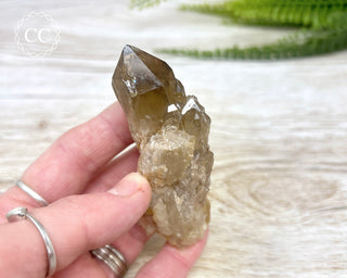Congo Citrine #9
