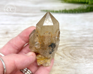 Congo Citrine #8