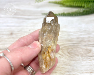 Congo Citrine #9