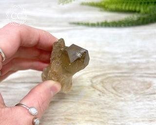 Congo Citrine #9