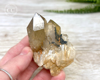Congo Citrine #10