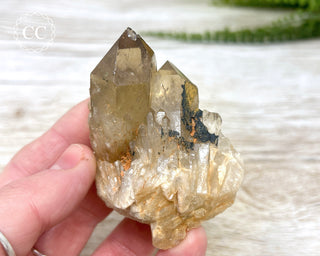 Congo Citrine #10