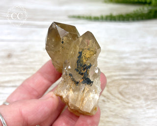 Congo Citrine #10