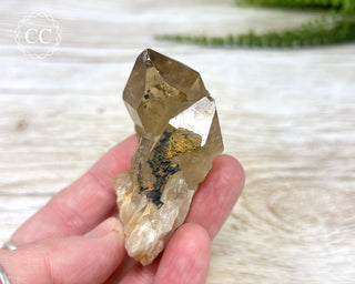 Congo Citrine #10