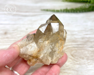 Congo Citrine #10