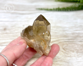 Congo Citrine #10