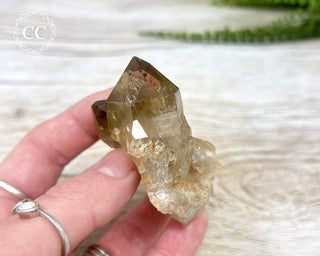 Congo Citrine #10