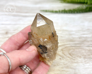 Congo Citrine #8