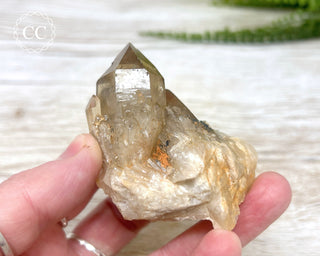 Congo Citrine #10
