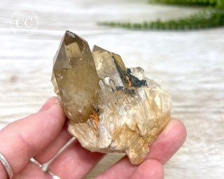 Congo Citrine #10