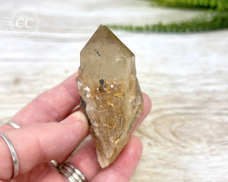 Congo Citrine #8