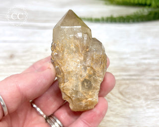 Congo Citrine #8