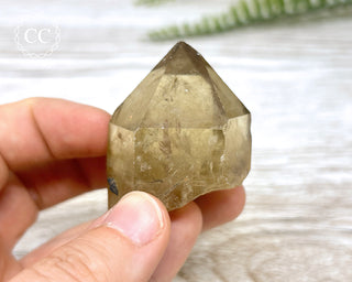 Congo Citrine #20