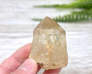 Congo Citrine #11
